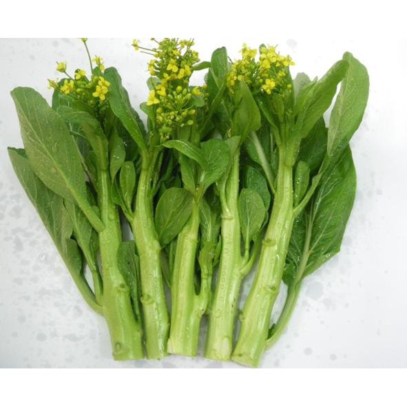 Hạt giống Cải Ngồng Mập 20gr (khoảng 4000 Hạt) (Hàng Loại 1)