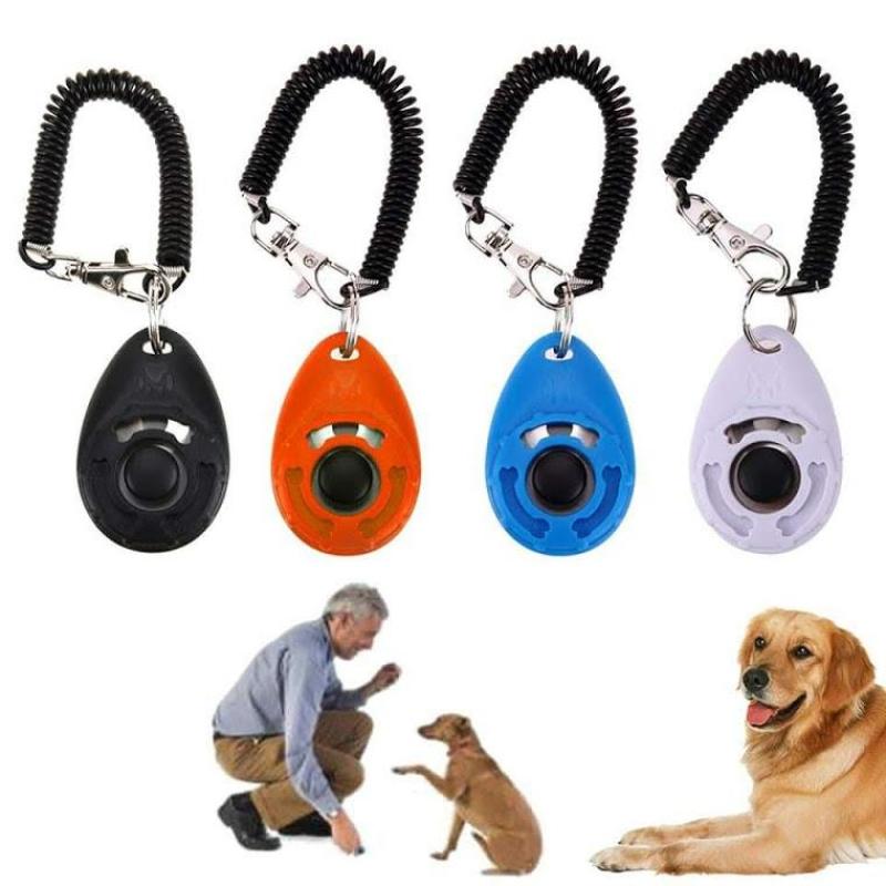 Clicker huấn luyện chó