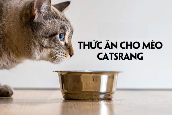 ( KHUYẾN MÃI ) Catsrang - Thức ăn hạt cho mèo mọi lứa tuổi 3KG
