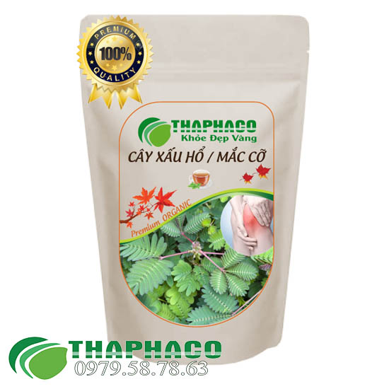 Xấu Hổ, Mắc Cở Sấy Khô [Túi 1kg] Thaphaco - Hỗ Trợ Tốt Cho Sức Khỏe Người Sử Dụng