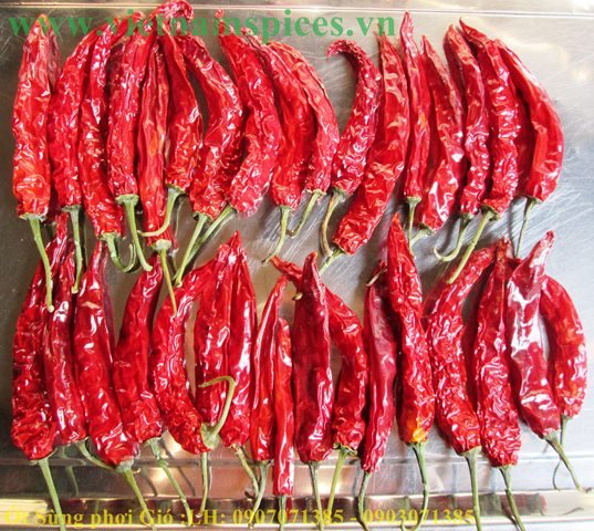[HCM]ớt sừng trái phơi khô cao cấp 100gram