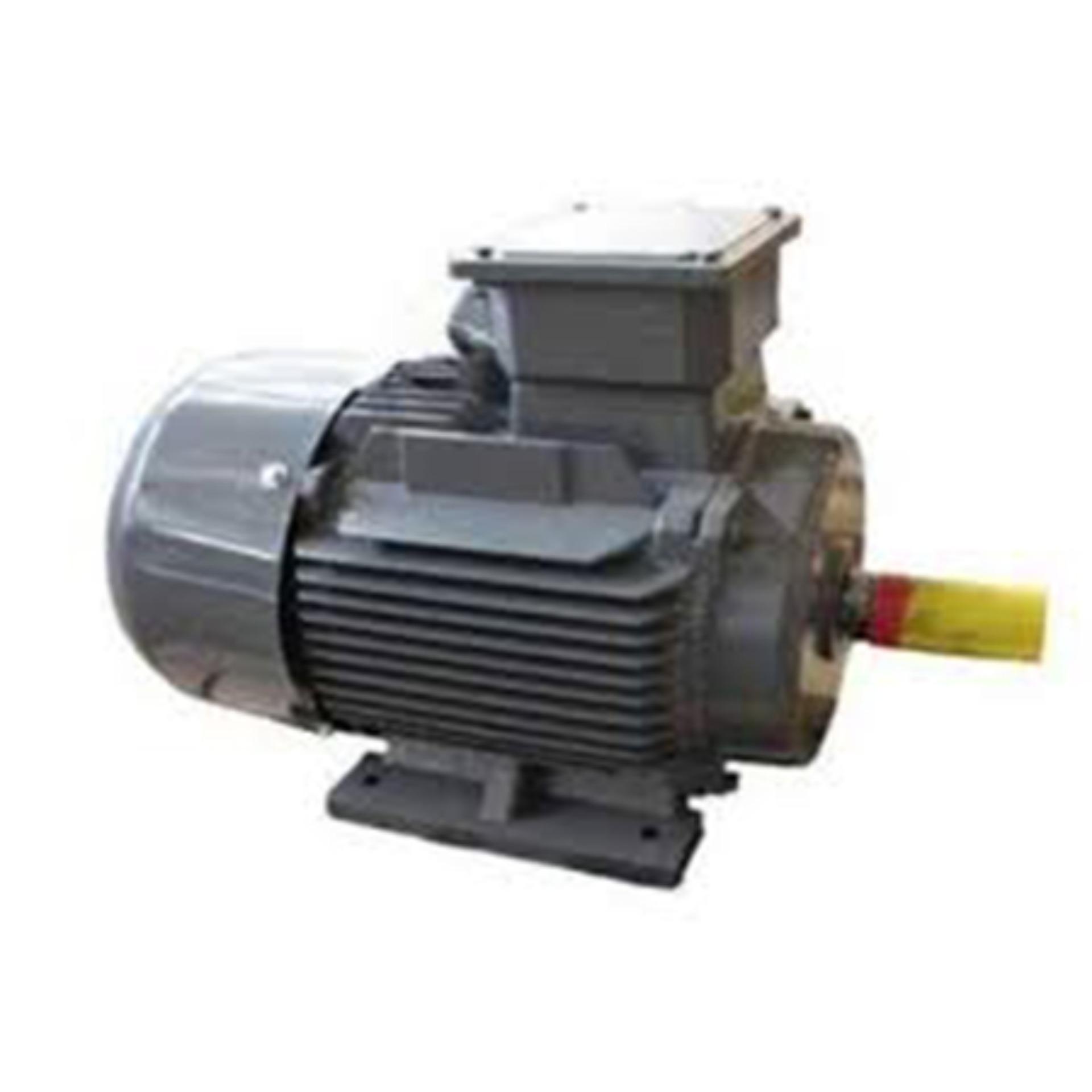 Motor điện TECO AEEV-4P-1HP