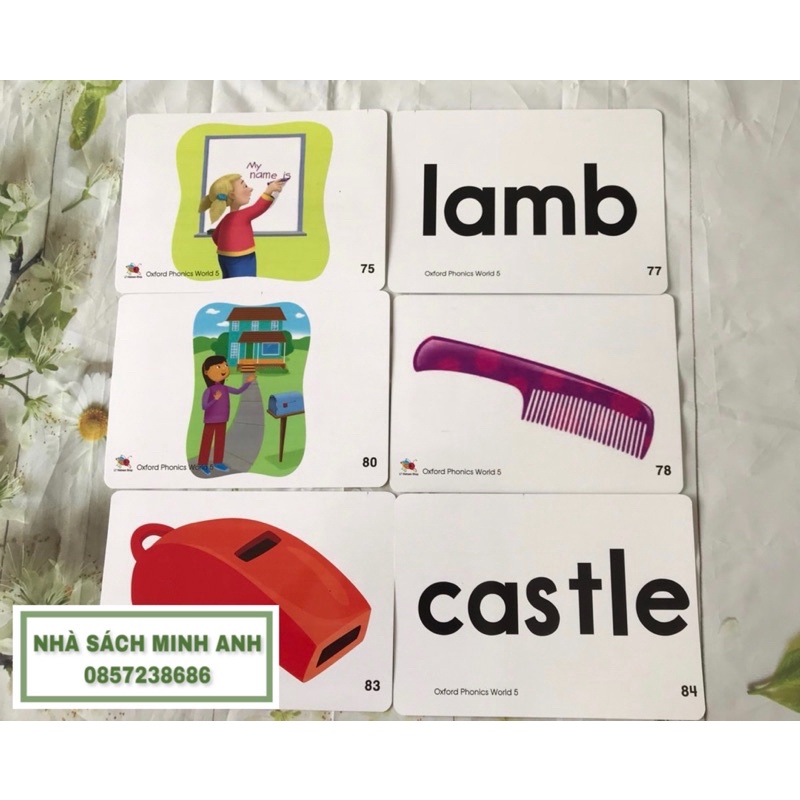 Flashcard OXFORD PHONICS WORLD 5-96 thẻ (khổ A5-cán bóng)
