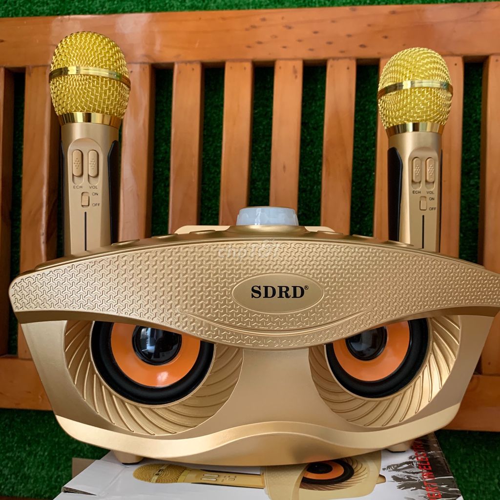 Loa Bluetooth karaoke kèm 2 míc SDRD-306/SDRD 306 Plus công suất 30w