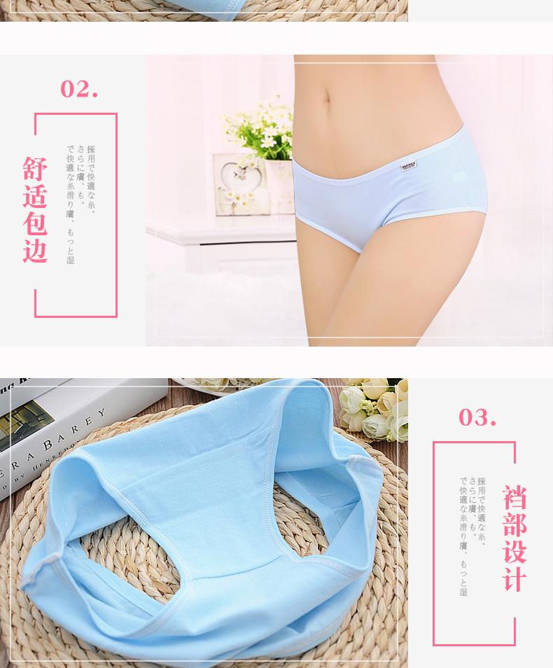 quần lót cotton pulo
