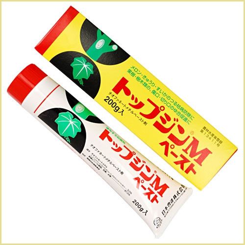 [HCM]Keo liền sẹo TOP JIN M PASTE Nhật Bản tuýp 200gr