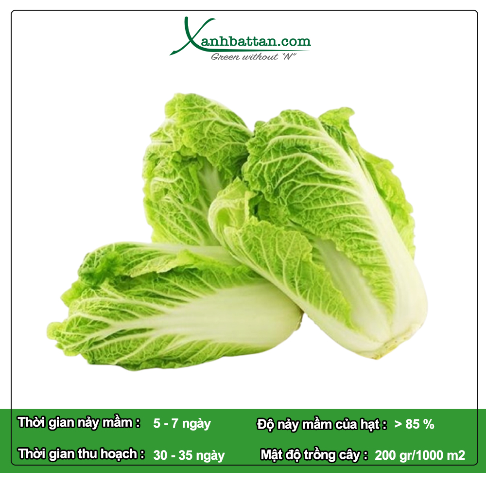 Hạt Giống Cải Bẹ Dún Phú Nông Gói 10 Gram