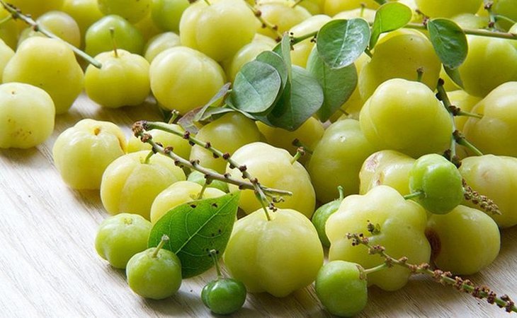 Cây chùm ruột