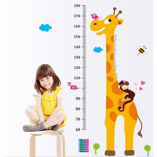 Decal Đo chiều cao