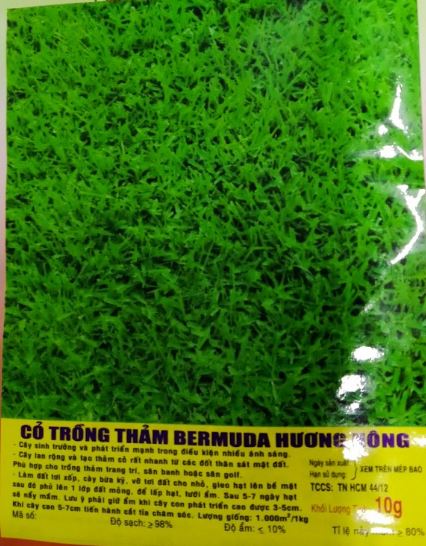 Hạt Cỏ Trồng Thảm Bermuda - Gói 10 Gram