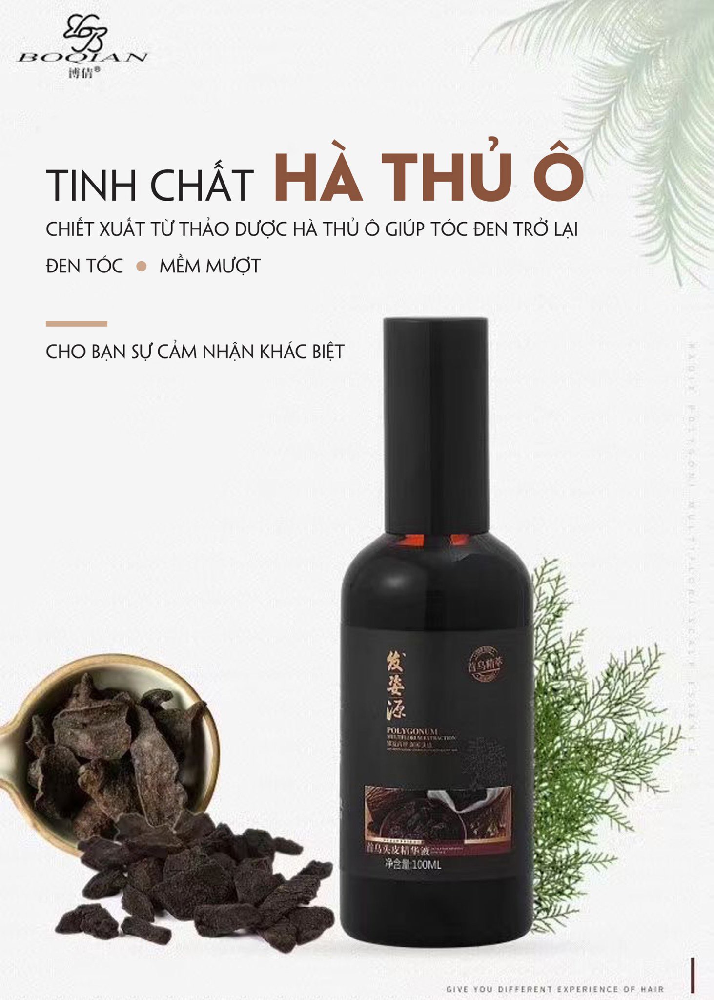 [XẢ KHO] DẦU GỘI HÀ THỦ Ô HỖ TRỢ CHỐNG RỤNG TÓC - TÓC BẠC 400ml