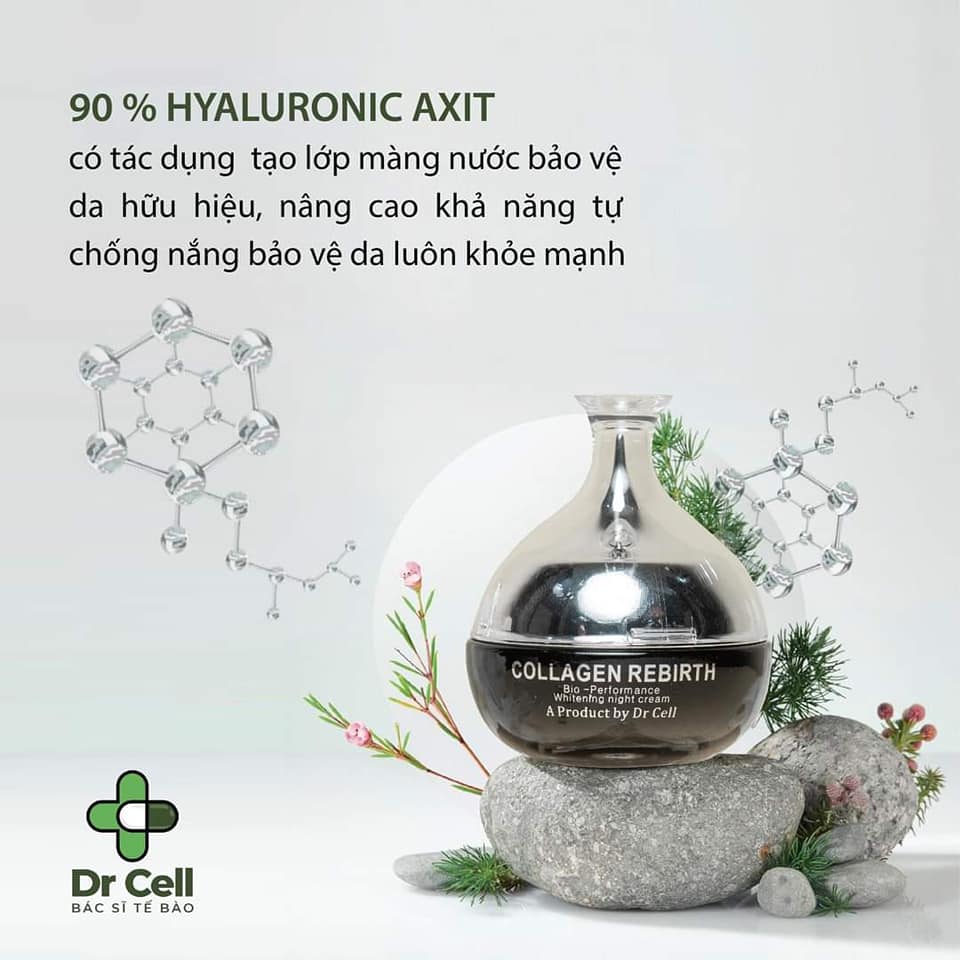 Kem Đêm Collagen Rebirth Dr Cell