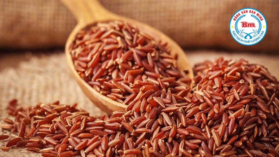 Gạo Lứt Huyết Rồng