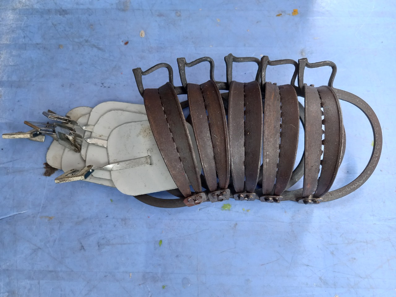 Combo 5 bẫy cạm kiềng có bàn là cỡ trung miệng 14 cm