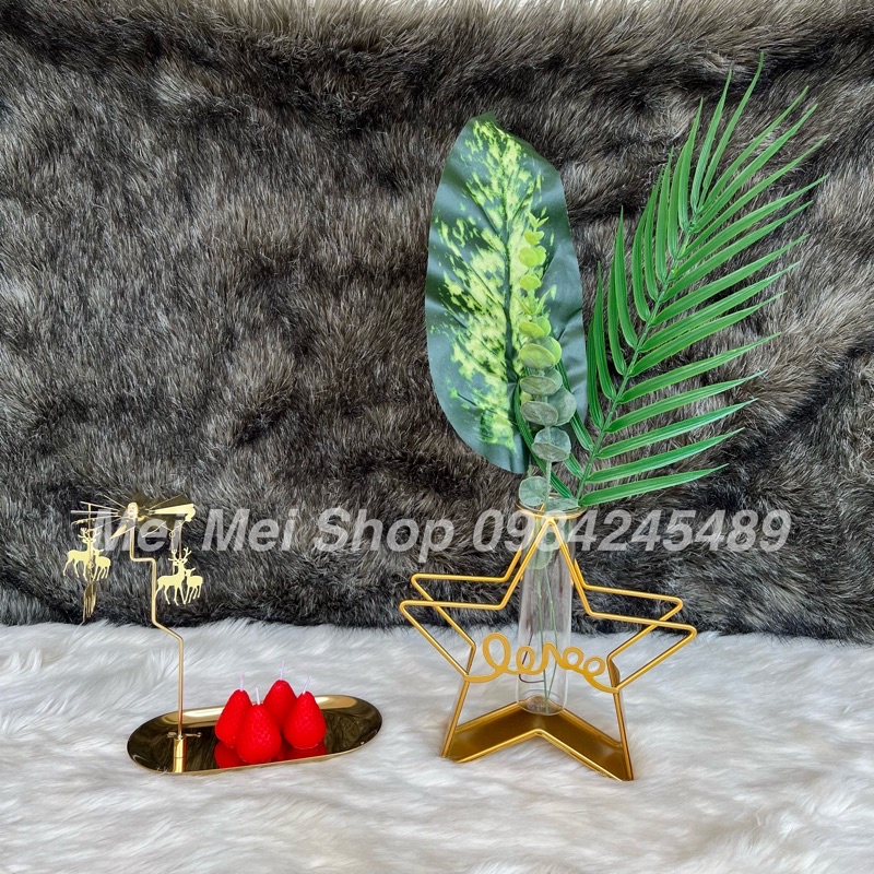 Lọ hoa decor phòng / bình hoa thủy tinh variety ngôi sao, hình chữ nhật