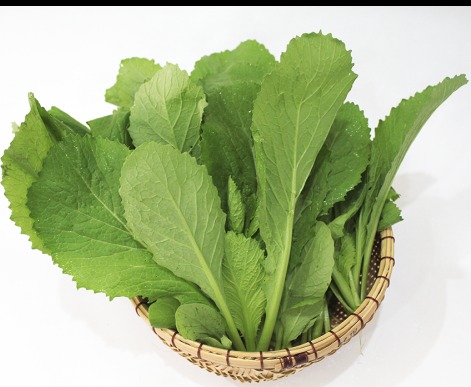 Hạt giống cải xanh mỡ Thuận Điền