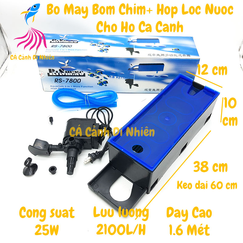 Máy bơm máng lọc RS 7800 kèm máng lọc dành cho hồ cá cảnh