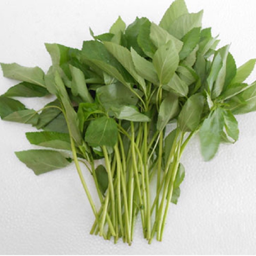 Rau Đay Trắng – Đỏ (20g) Thuận Điền