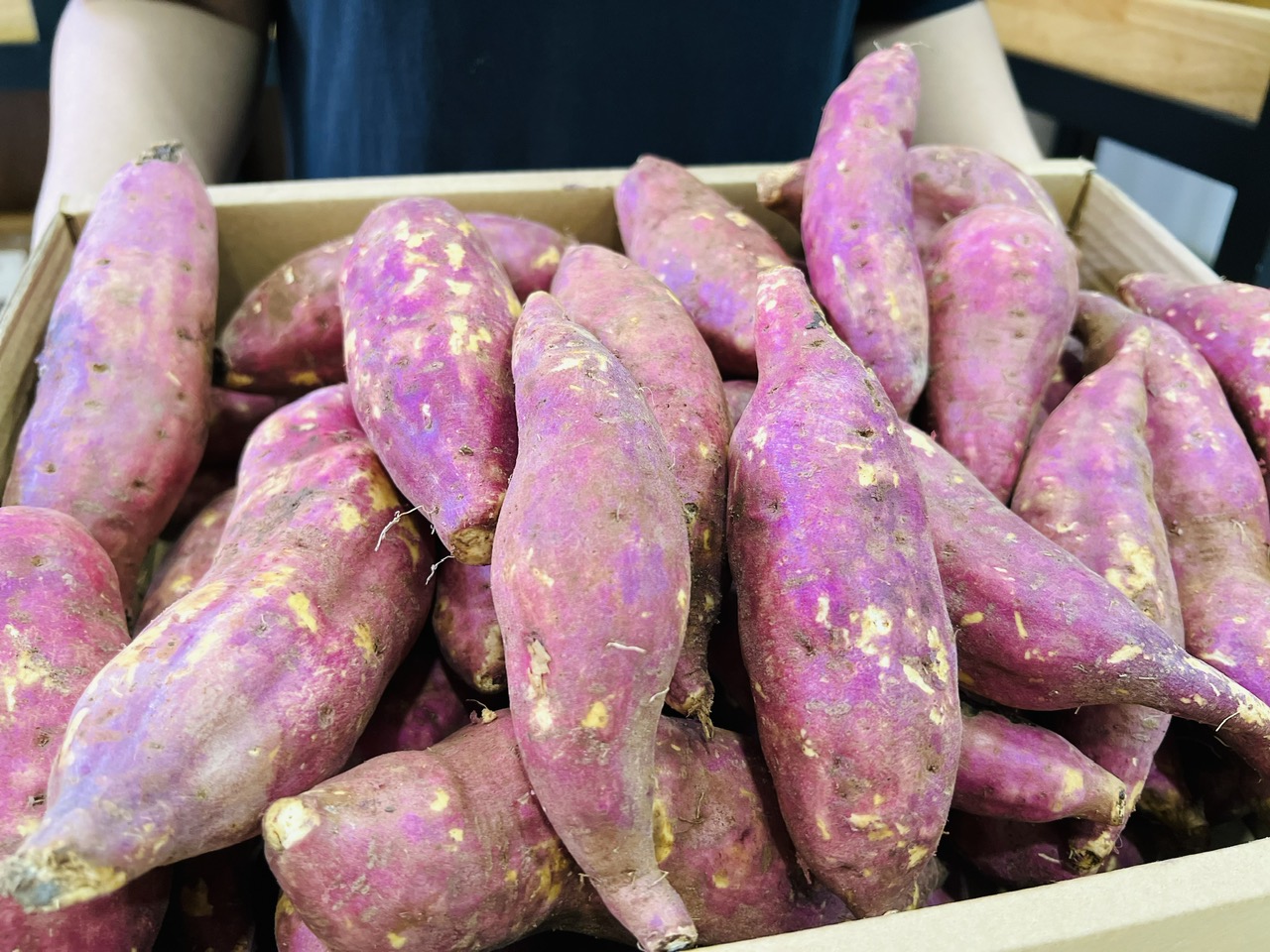 [ GIAO TOÀN QUỐC ] VG FARM Khoai Lang Nhật