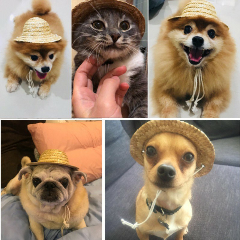 [HCM]Nón Cói Mũ Rơm Đội Đầu Cute Cho Cún Miu