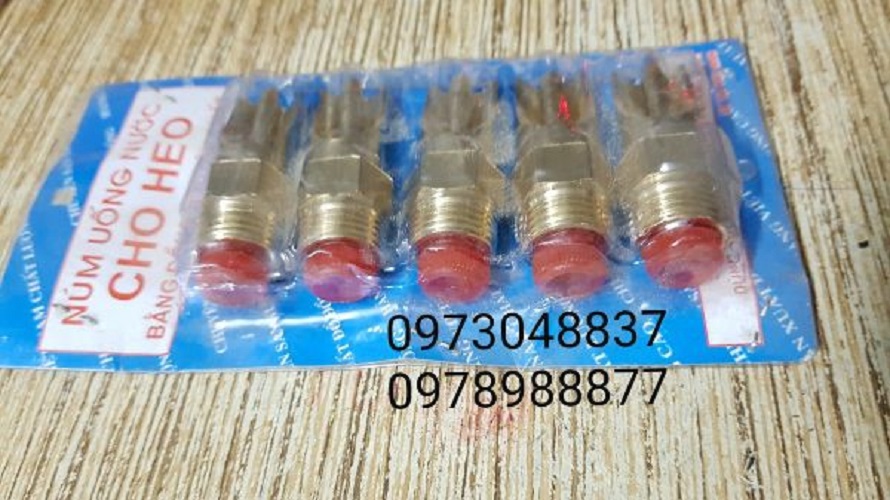 Combo 05 Vú uống nước cho heo bằng đồng