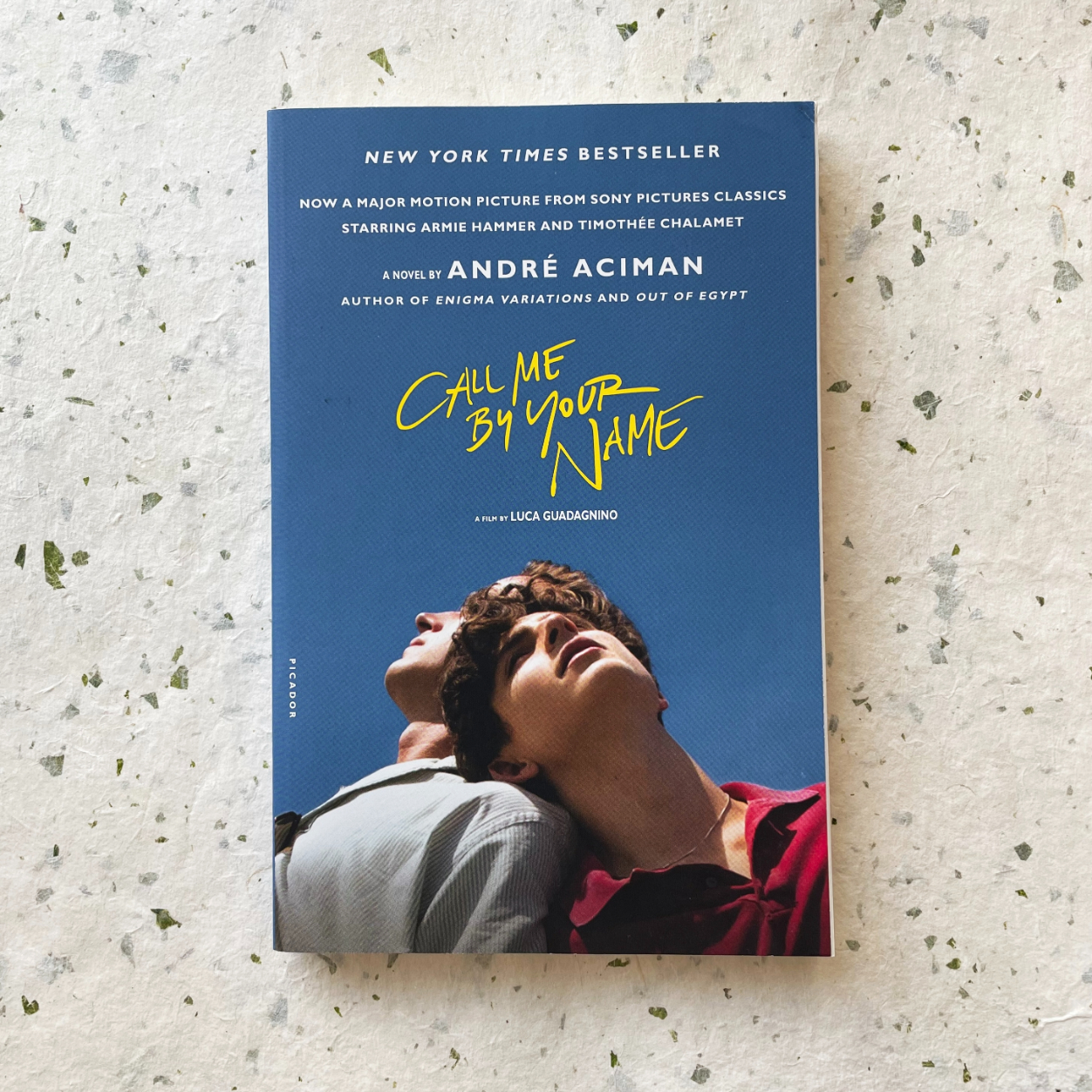 Call Me By Your Name [US] - Moonbird