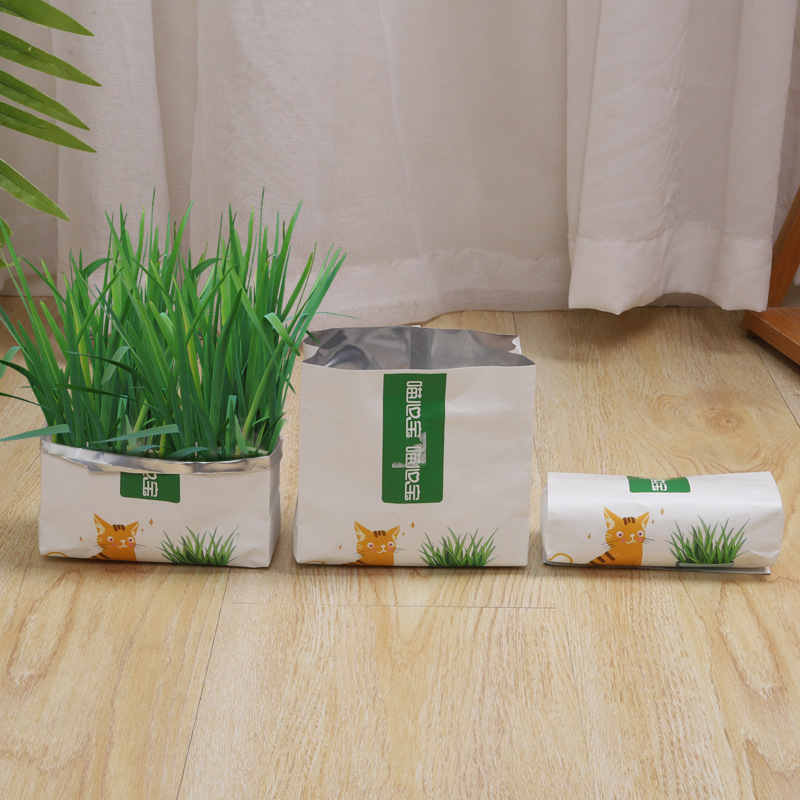 Bộ trồng cỏ tươi cho mèo không cần đất