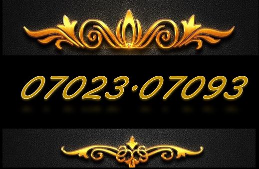 SIM TAXI TIẾN 07023.07093