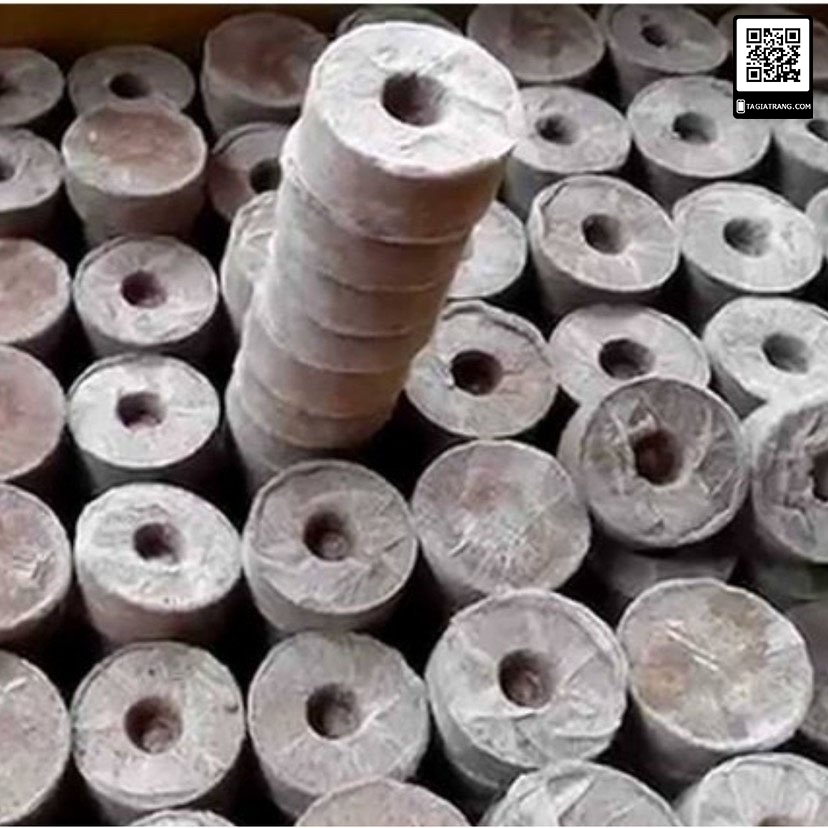 50 Viên nén ươm hạt/Viên nén xơ dừa - Shop hạt giống Tạ Gia Trang