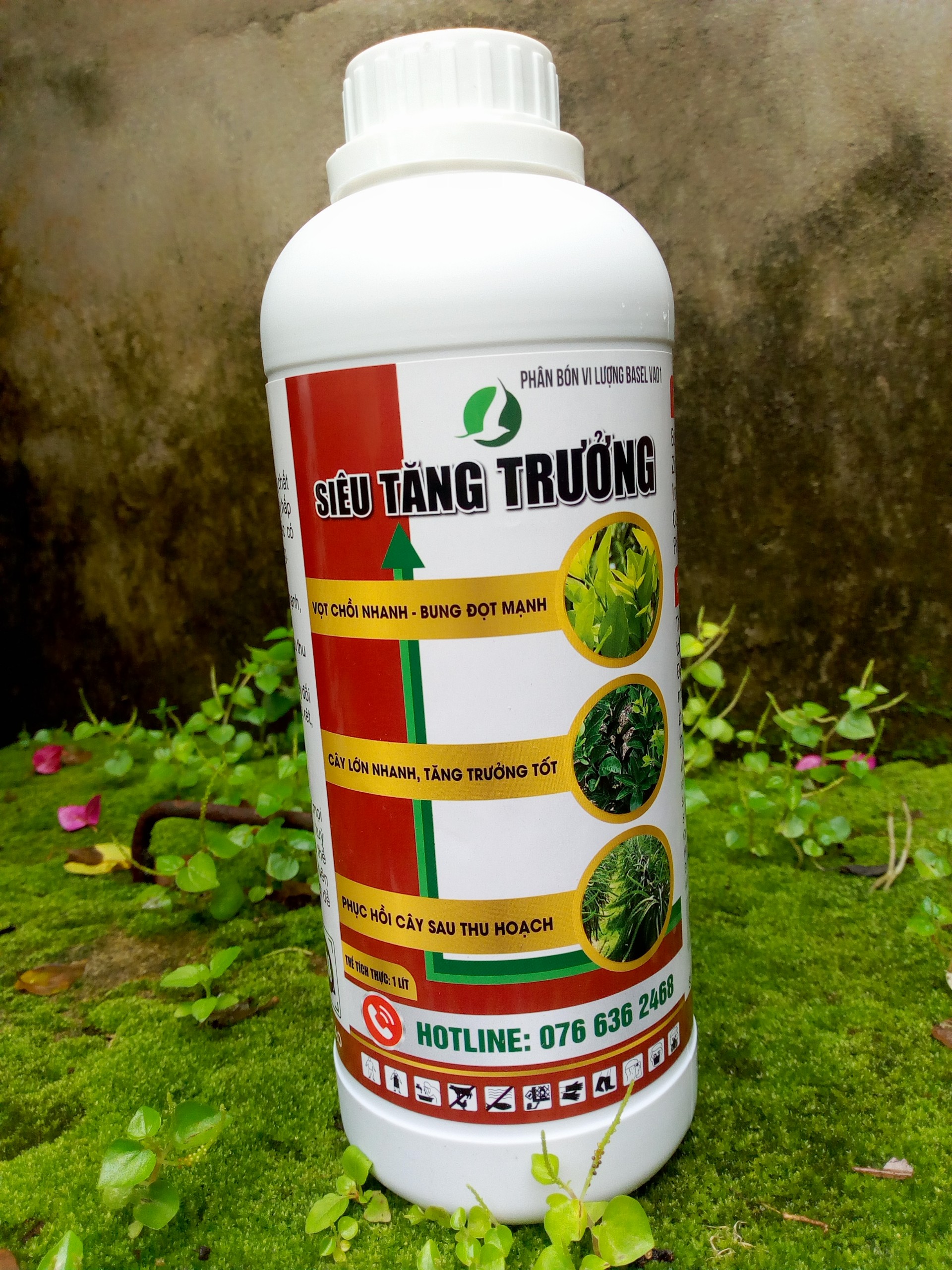 Siêu tăng trưởng