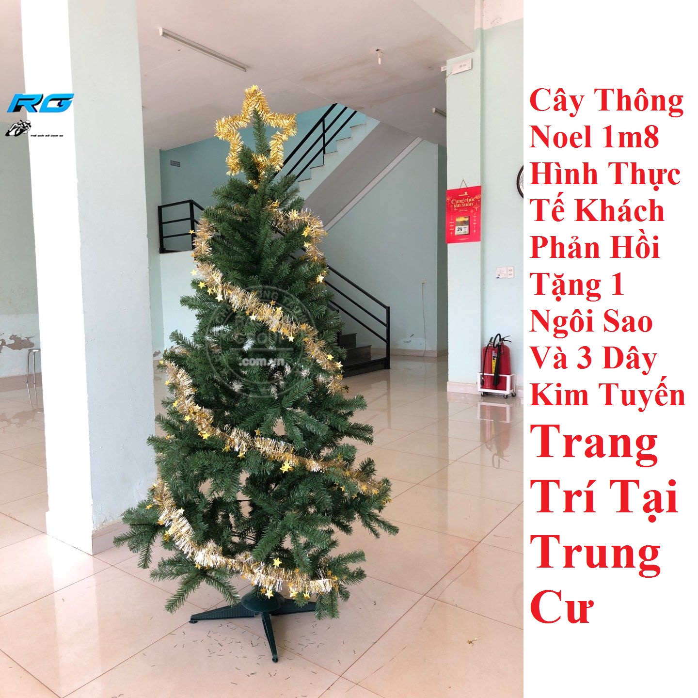 Cây Thông trang trí Noel, giáng sinh