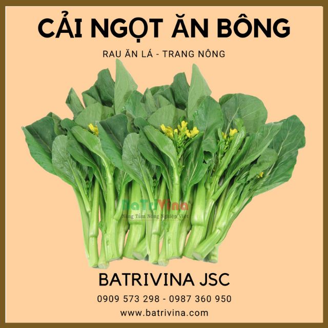Gói 20Gr Hạt Giống Cải Ngọt Ăn Bông - Cải Ngồng Trang Nông