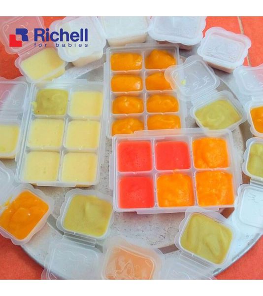 SET 2 khay trữ đông đồ ăn dặm RICHELL cho bé