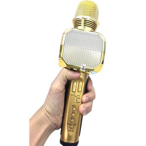 [HCM]Mic karaoke SD10 - Sd10