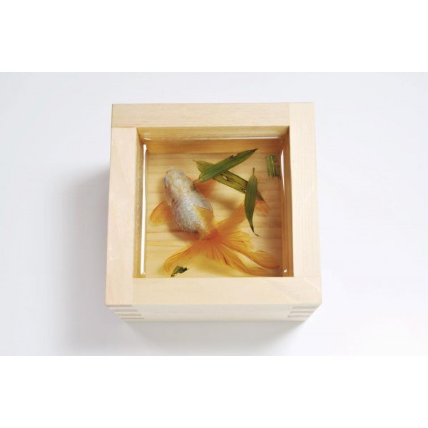 Acrylic Epoxy Resin (Nhựa trong suốt)