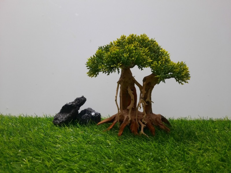 Lũa bonsai Mẫu tử ( C:19cm-N:18cm-S:10cm )