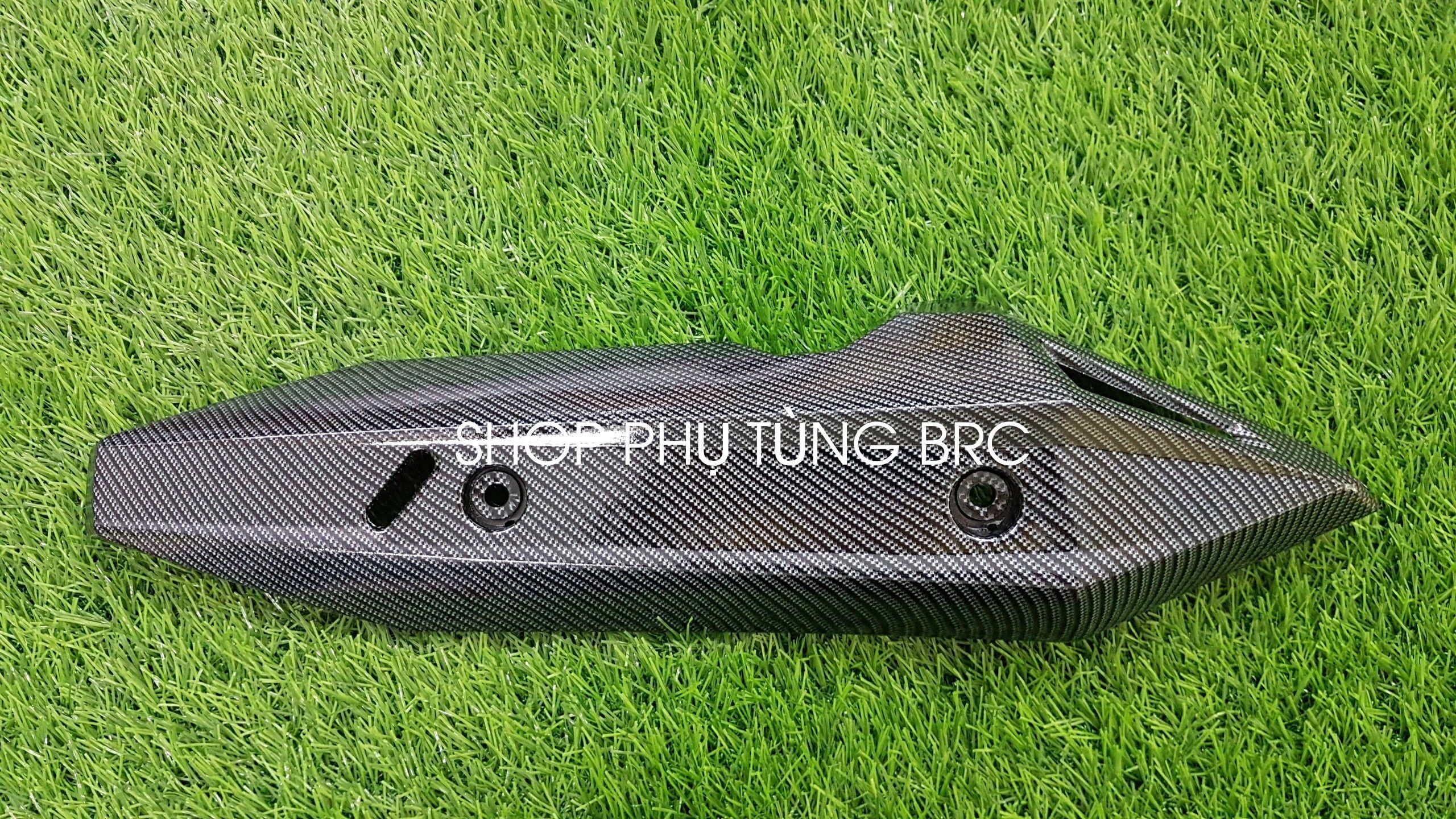 Che pô phủ cacbon xe vario 2018 - 2019