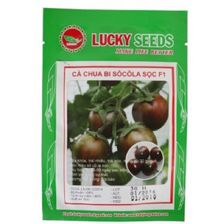 Hạt giống Cà Chua Bi Socola F1