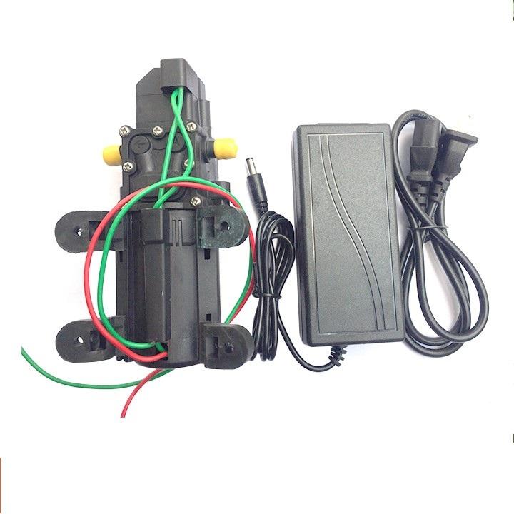 Máy bơm sinleader 12v + Adapter 12v 5A
