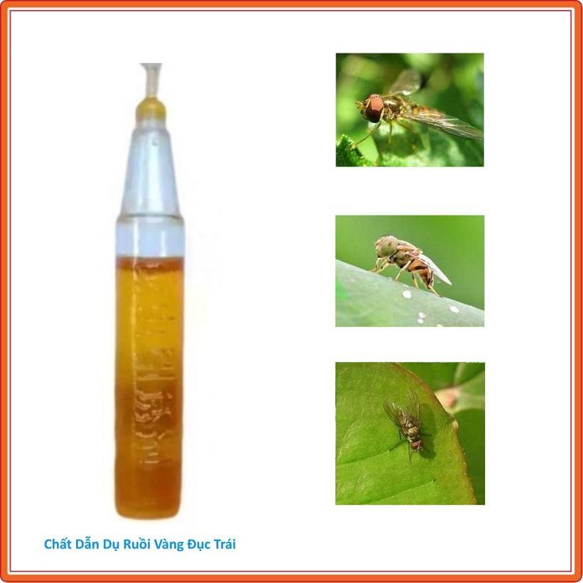 Nắp Bẫy ruồi đục trái thông minh, hiệu quả lắp chai aqua, lavie....-- bẫy ong vàng chích quả