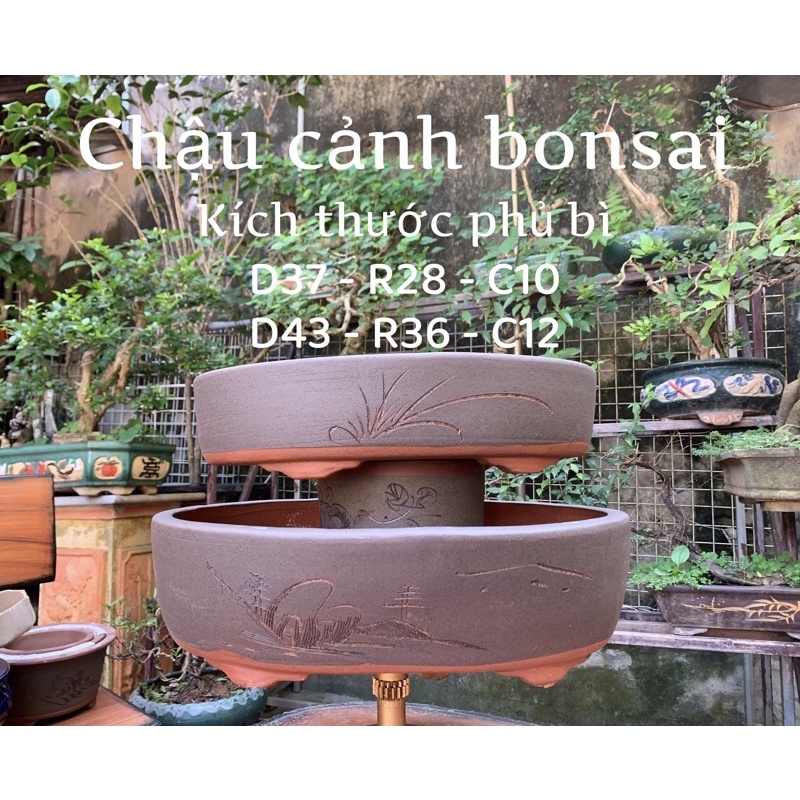 Chậu ovan - chậu gốm tàu - chậu trồng cây bonsai ovan