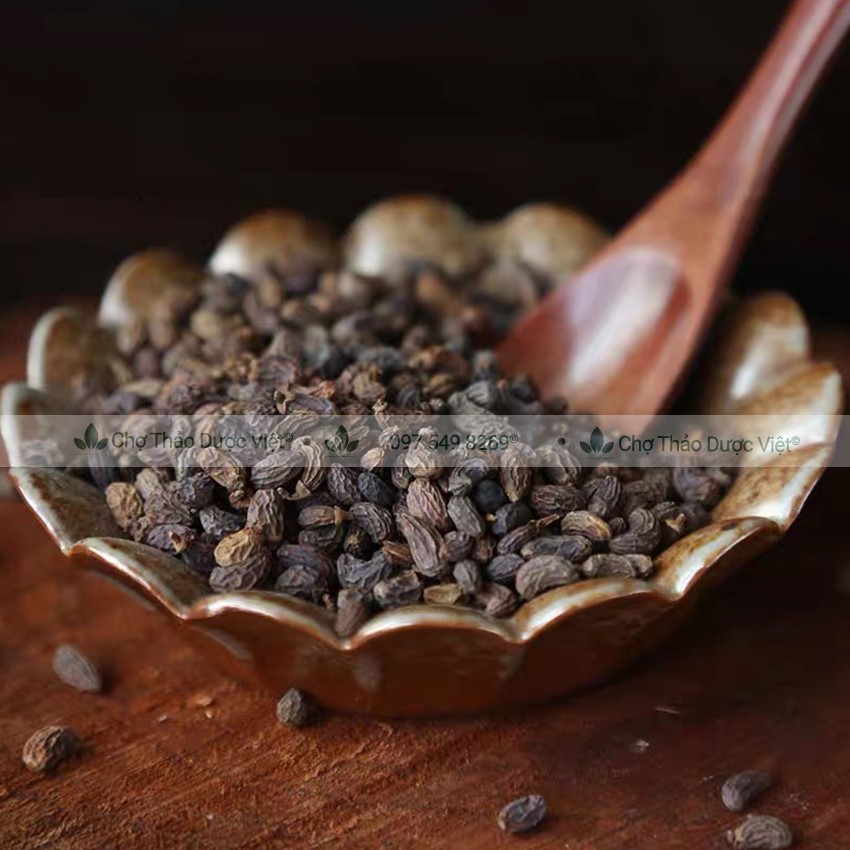 Ngưu bàng tử khô 100g, hạt ngưu bàng, sạch, đẹp, không lẫn tạp chất - Chợ Thảo Dược Việt