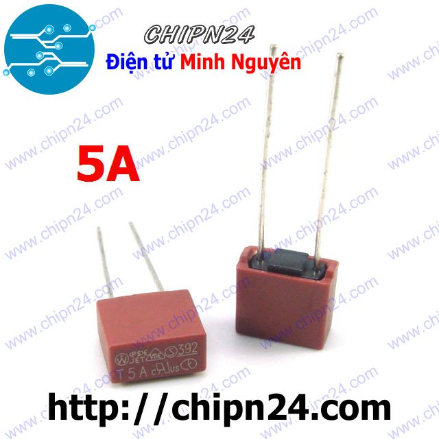 [2 cái] (KG2) Cầu Chì Vuông 5A 250V (T5A250V)