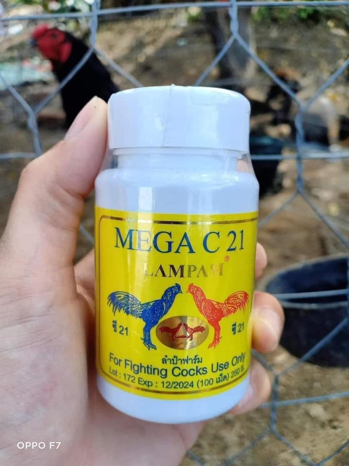 Mega C21 Kích Lực trước đá 7-10 ngày cho Gà Đá