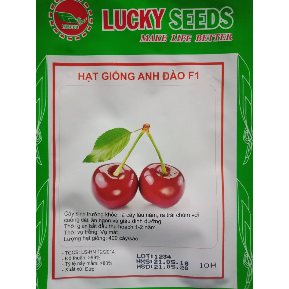 HẠT GIỐNG QUẢ CHERY (ANH ĐÀO) - 10 hạt