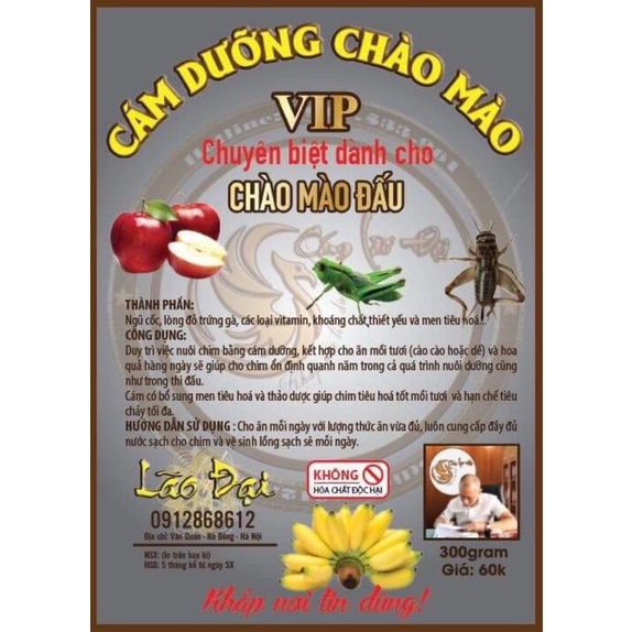Cám Dưỡng Chào Mào Lão Đại