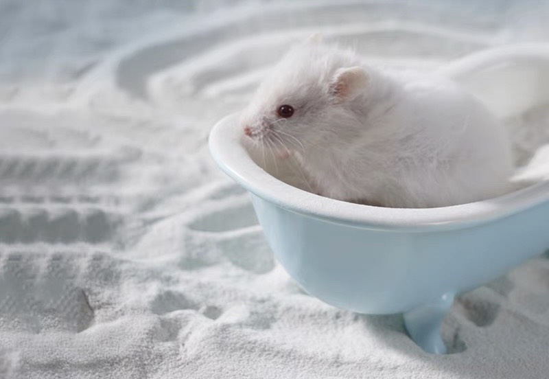 cát tắm SunShine dành cho hamster, đủ mùi thơm dành cho hamster - T3 PETS SHOP