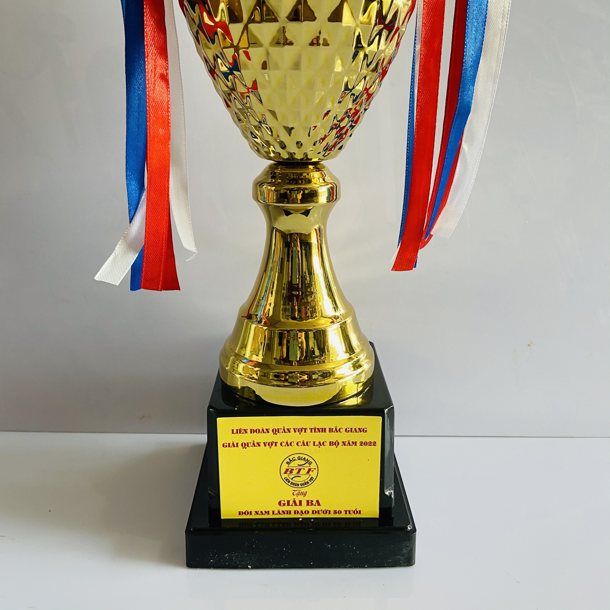 Cúp kim loại giá rẻ TL-037