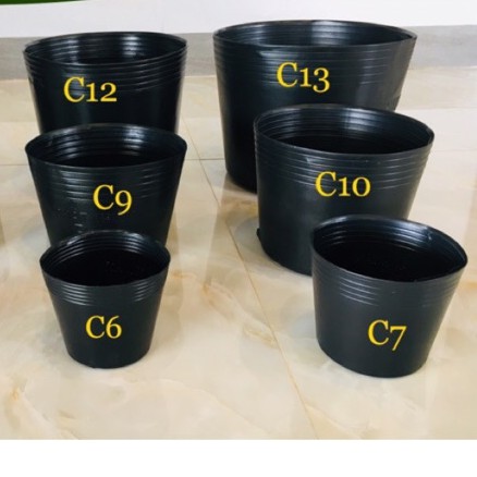 [Combo 10 cái] chậu nhựa đen C6 mềm dẻo trồng cây nhỏ, ươm cây con KT: 15x10.5x12cm Chậu nhựa trồng cây được sản xuất từ nhựa HDPE Siêu bền