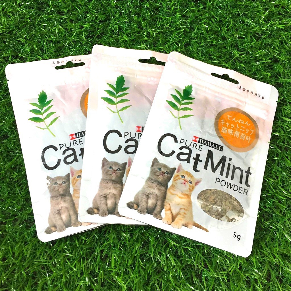 Cỏ Catnip Bạc Hà Cho Mèo Cat Mint 5g
